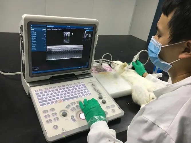 科技進步助力生產安全：超聲檢測設備的應用與優勢